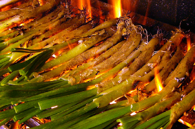 4 de març: VIII Calçotada més visita guiada de l´ICASBD